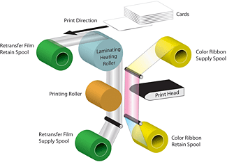 PVC Card Printer: Direct-to-Card vs. Retransfer Printing